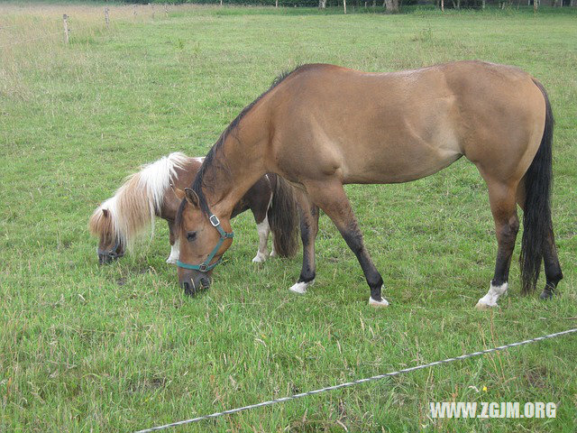 夢見天氣晴朗_周公解夢夢到天氣晴朗是什麼意思_做夢夢見天氣晴朗好不好_周公解夢官網