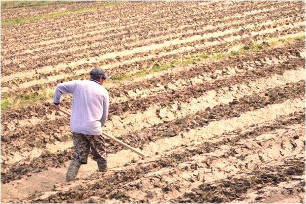 夢到豹身人頭有什麼預兆_周公解夢官網