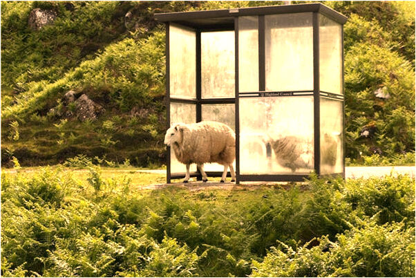 夢到了自己老婆又生了個孩子是咋回事_周公解夢官網