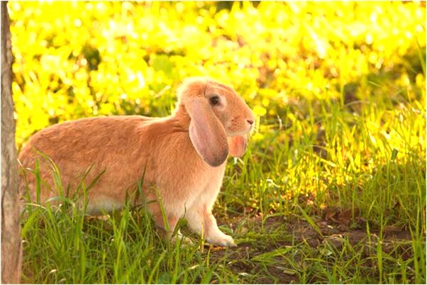 夢到給別人送衣服預兆了什麼嗎_周公解夢官網
