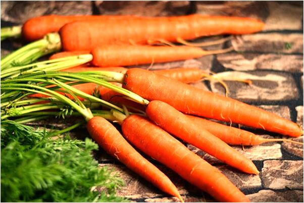 夢到新婚之夜屎是什麼預兆？_周公解夢官網