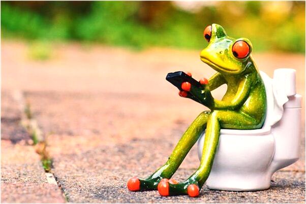 夢到我的親人被蛇所困是什麼意思?_周公解夢官網