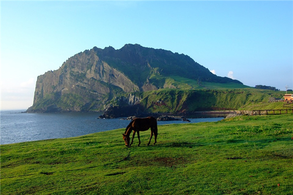 2014年屬馬的婚配表_十二生肖