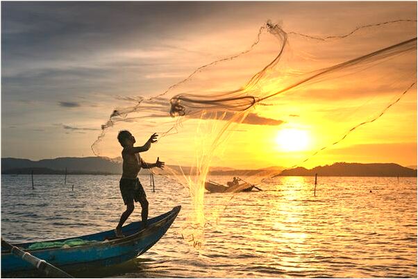 夢見自己無頭寵物烏龜什麼預兆_周公解夢官網