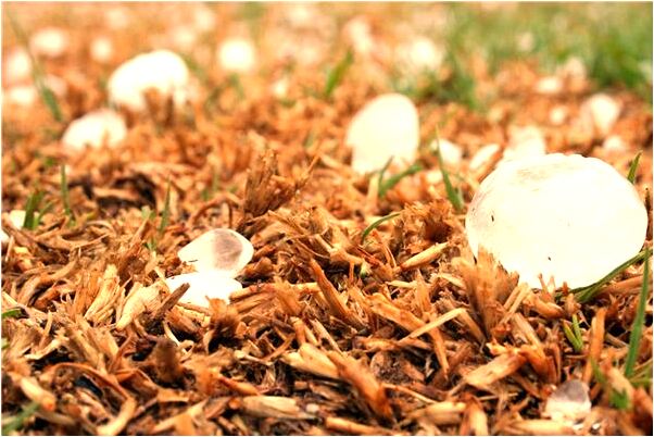 夢到了被人調戲給錢我是啥意思_周公解夢官網