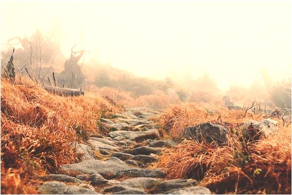 夢到夢境同房是凶兆還是吉兆_周公解夢官網