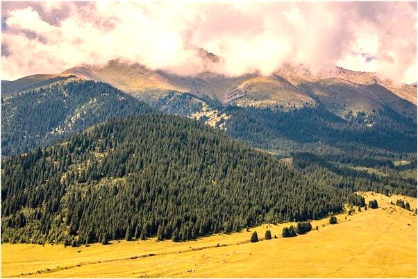 夢到了和暗戀的新來女同事遊逛是什麼兆頭_周公解夢官網