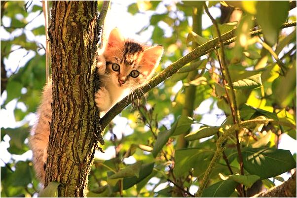 夢到女友去我家看見死人是什麼意思？_周公解夢官網