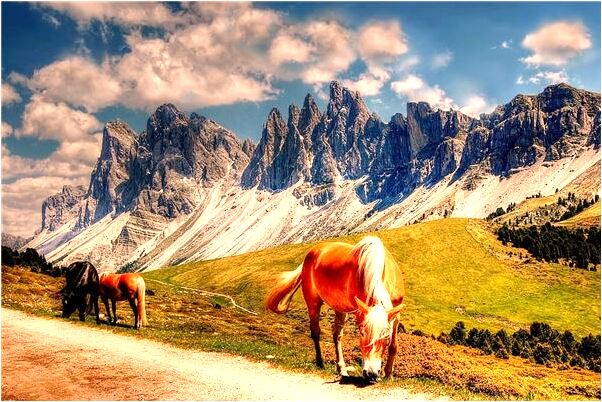 夢到懷孕後蛇生的女兒是什麼預兆_周公解夢官網