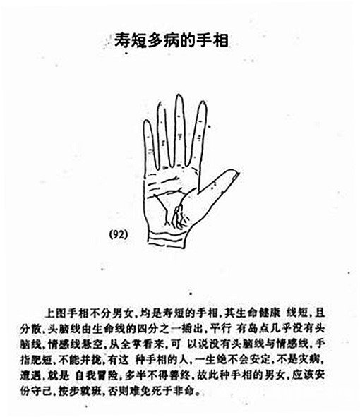 The short life of sickly palm diagram