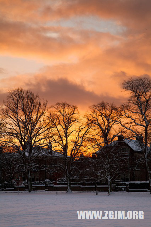 夢見和暗戀的人在一起_周公解夢夢到和暗戀的人在一起是什麼意思_做夢夢見和暗戀的人在一起好不好_周公解夢官網