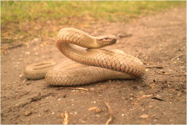 夢見老婆和別人生活了是什麼兆頭_周公解夢官網