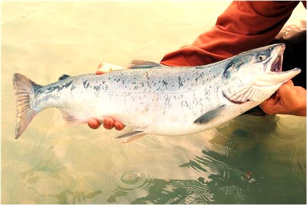 夢到了伴侶和同性朋友做愛的預兆_周公解夢官網