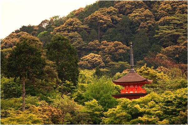 夢到了開車被搶是凶兆還是吉兆_周公解夢官網