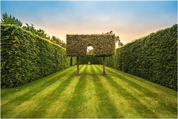 夢到草地中有小冰雹怎么回事_周公解夢官網