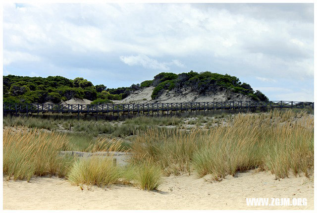 夢見土石流_周公解夢夢到土石流是什麼意思_做夢夢見土石流好不好_周公解夢官網