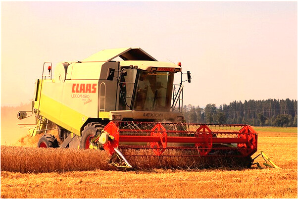 夢見一個工廠是不是好的徵兆呢_周公解夢官網
