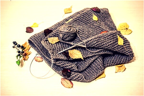 夢見貓像我報復有什麼含義_周公解夢官網