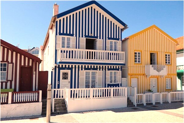 夢到豬為小豬吃奶的預兆_周公解夢官網