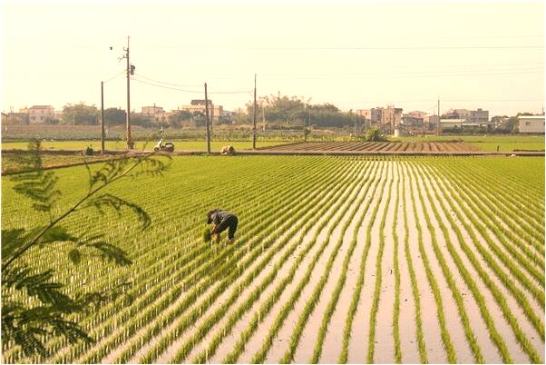 夢到了給洗頭是什麼意思_周公解夢官網