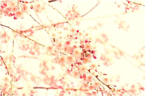 夢到了報著小孩撒尿有什麼意義嗎_周公解夢官網