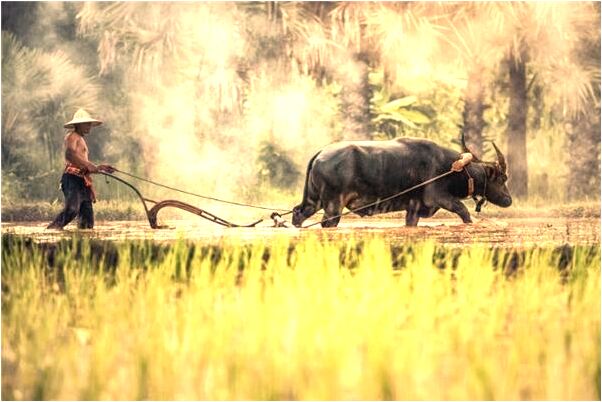 夢見被女孩拒絕意味著什麼_周公解夢官網