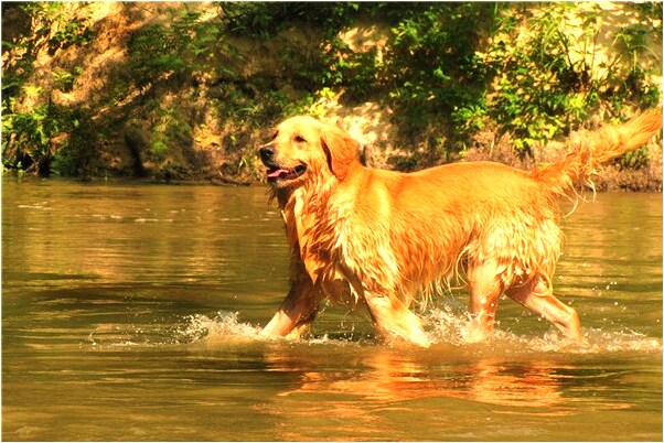 夢見姐姐哭是什麼徵兆_周公解夢官網