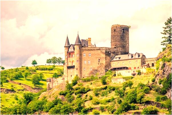 夢見烏龜摔成兩半是好的徵兆嗎_周公解夢官網