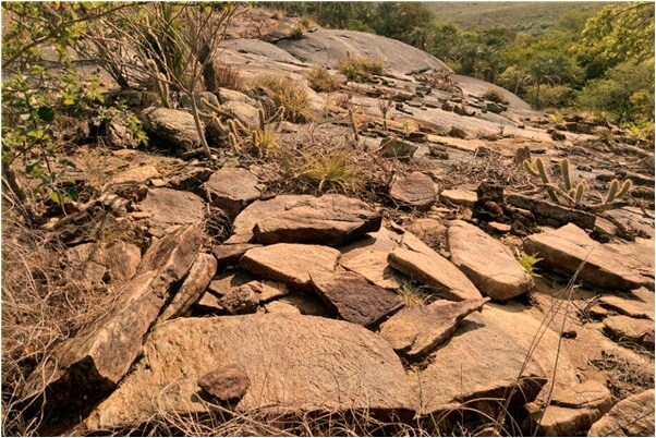夢到了和復活的屍體交談是好事還是壞事_周公解夢官網