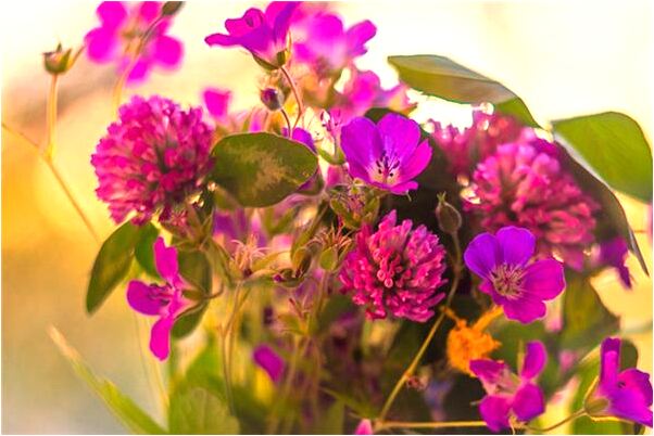 夢見頭頂的頭髮少了是什麼預兆_周公解夢官網