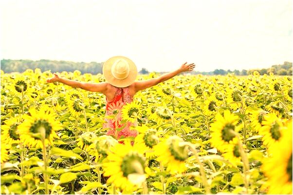 夢到了六味地黃是凶兆還是吉兆_周公解夢官網