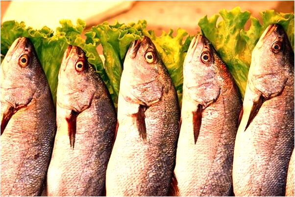 夢見乘汽車預示什麼_周公解夢官網