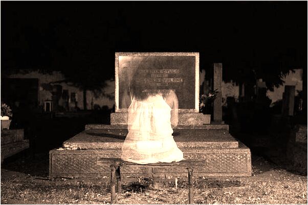 夢到了桃樹枝椏斷了有什麼寓意嗎？_周公解夢官網