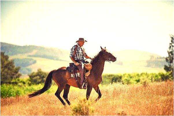 夢到大眼鏡蛇追是凶兆還是吉兆_周公解夢官網