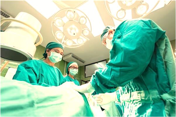 夢到了烏龜咬了手指有什麼意義嗎_周公解夢官網