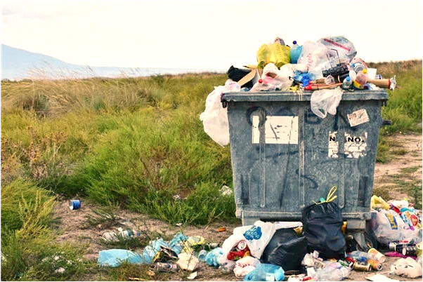 夢到叫叫魚是凶兆還是吉兆_周公解夢官網