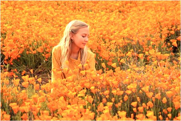 夢見有人送自己沙棗是不是好的徵兆呢_周公解夢官網