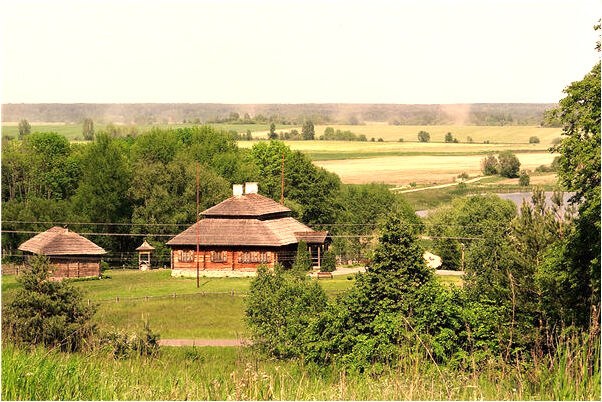 夢到了女兒的公婆有什麼寓意嗎？_周公解夢官網