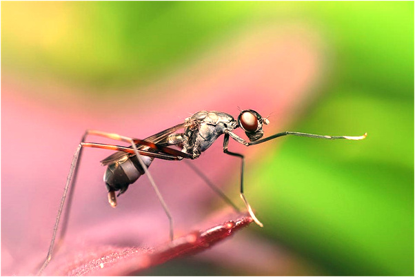 夢見推車趟水過去預兆了什麼嗎_周公解夢官網