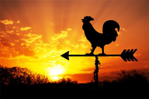 屬雞的年份_十二生肖