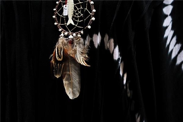 夢到了辟邪怎么回事_周公解夢