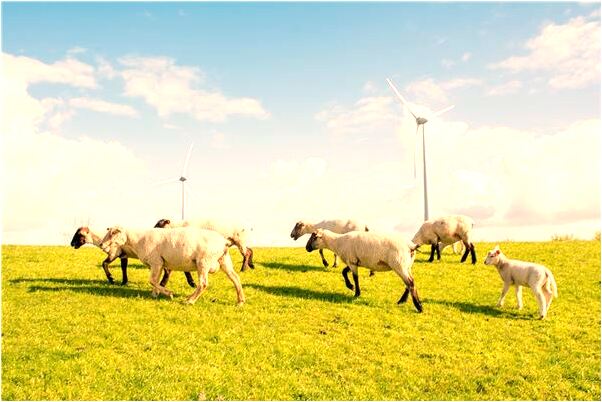 夢到了與心意迷路是什麼兆頭_周公解夢官網