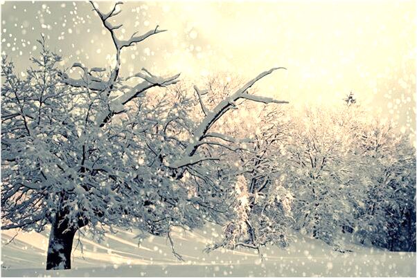 夢見夢有人搶我錢代表什麼_周公解夢官網