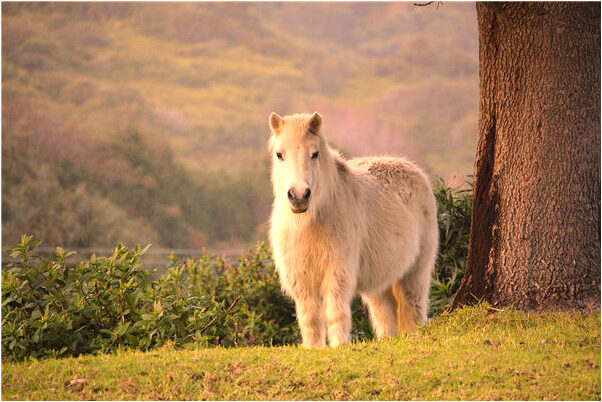 夢到了和別人聚餐自己不吃代表什麼_周公解夢官網