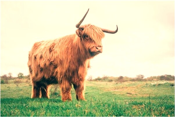 夢見摔自已的牌位是咋回事_周公解夢官網