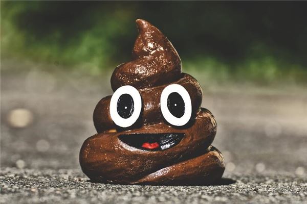 夢見好多大便_周公解夢