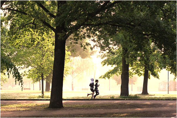 夢到女兒掉泥坑是什麼意思？_周公解夢官網