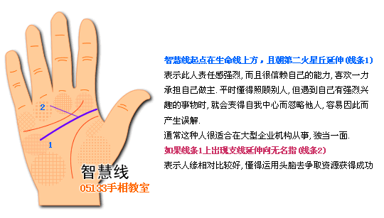 智慧線圖解看個性(2)