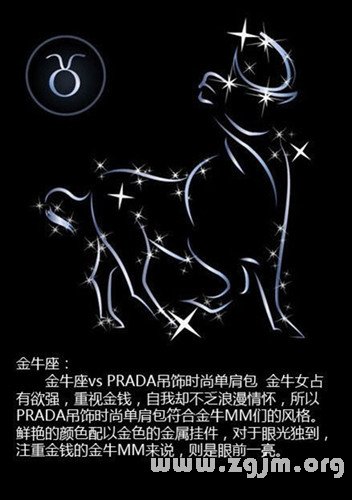 12星座最佳的名包搭配_十二星座