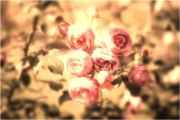 夢見滿臉是血的人是不是好的徵兆呢_周公解夢官網